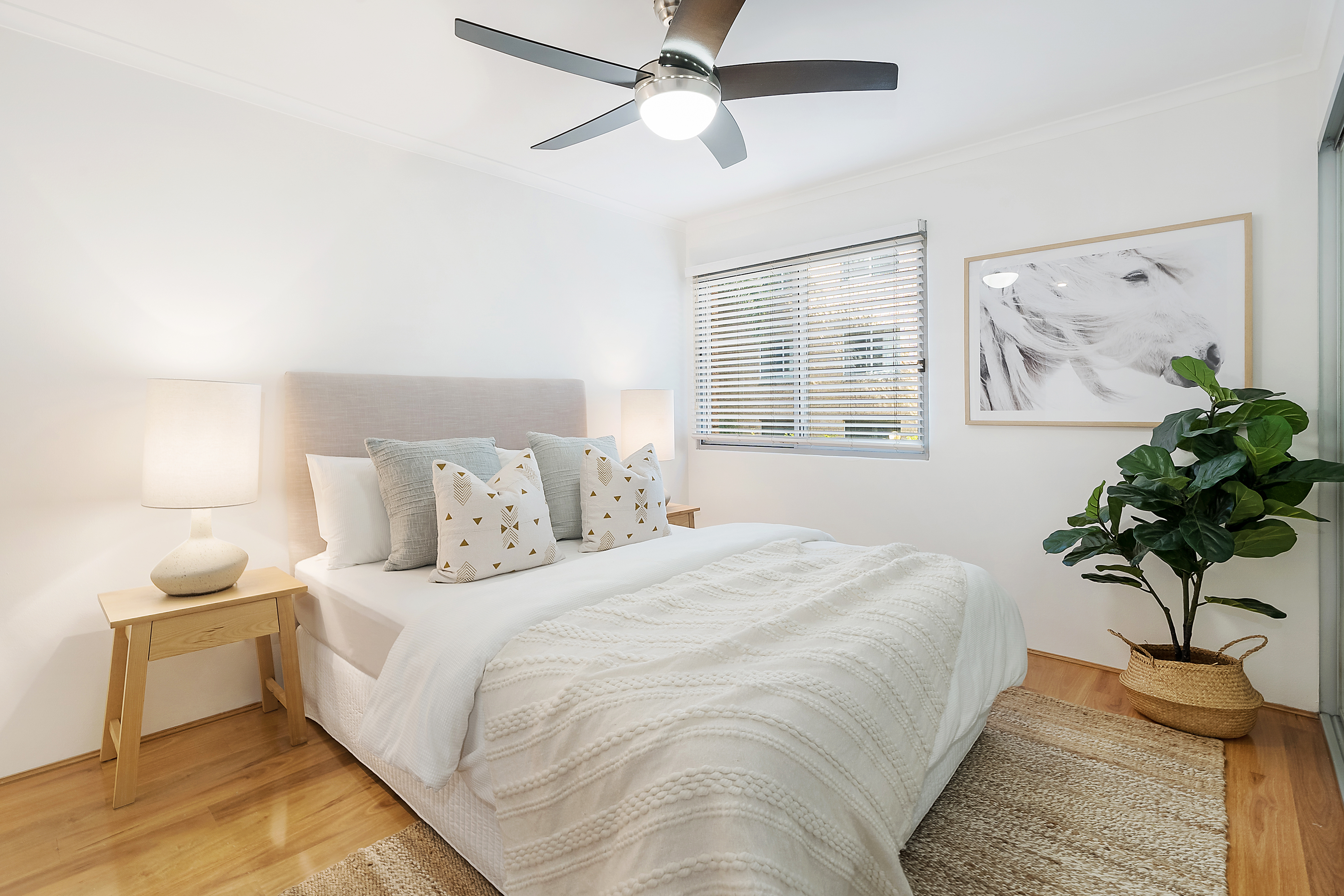 9/390 Miller Street, Cammeray, NSW, 2062, Cammeray - Thumbnail 5