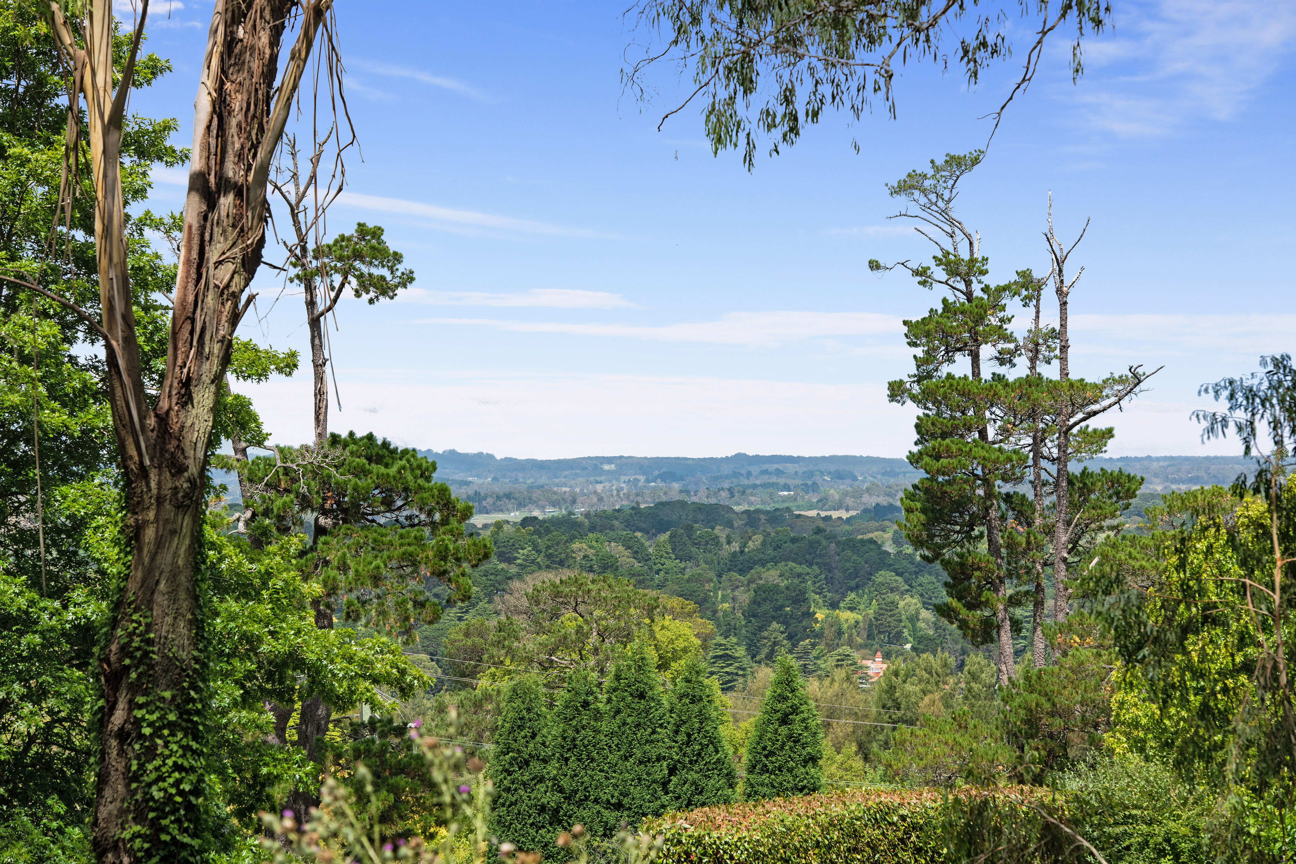 105 Oxleys Hill Road, Bowral, NSW, 2576, Bowral - Thumbnail 2