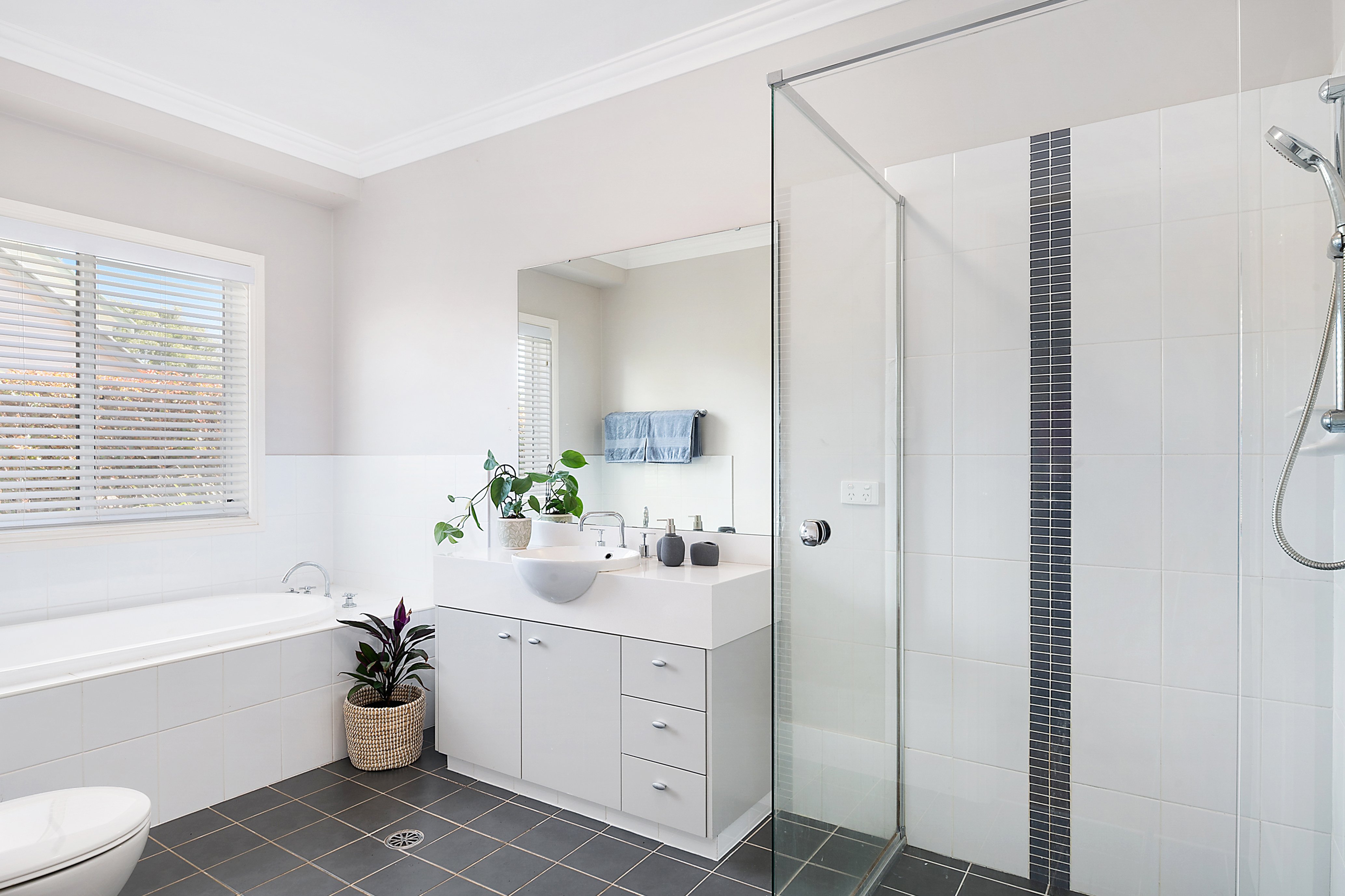 22 Rowland Road, Bowral, NSW, 2576, Bowral - Thumbnail 8