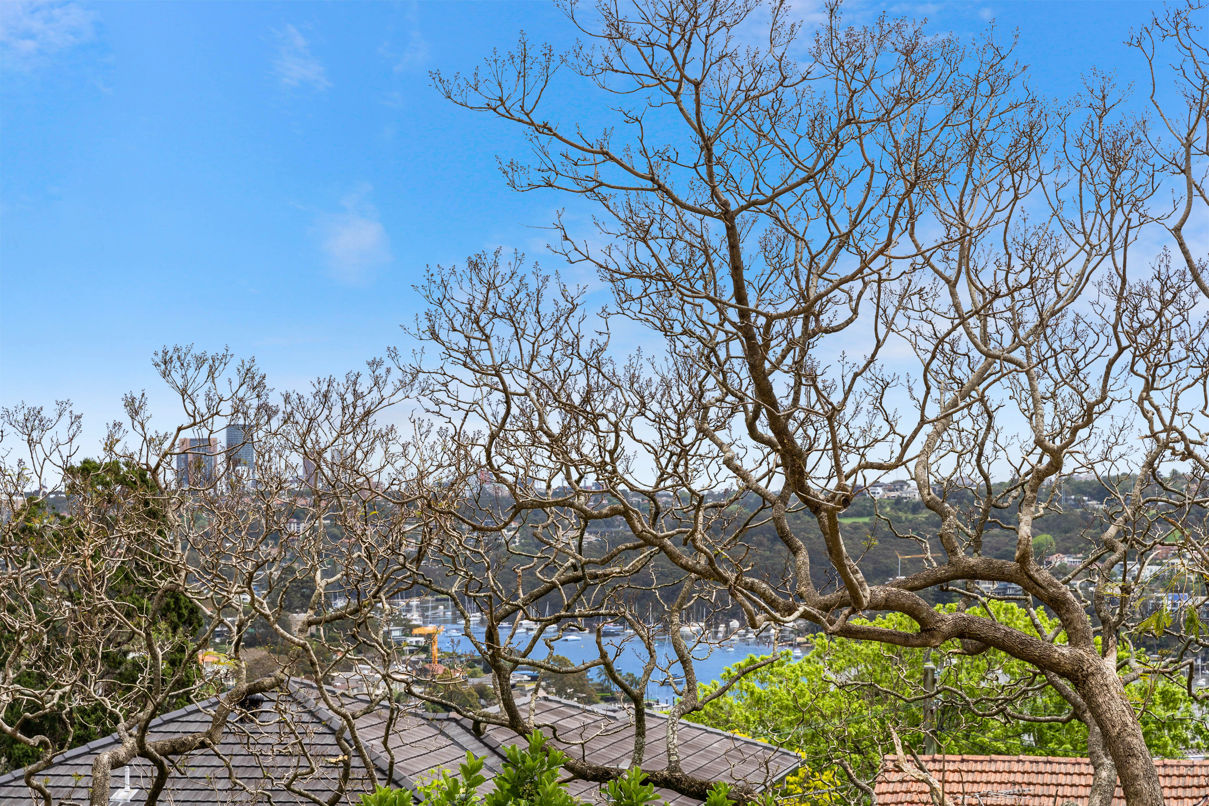 6/180 Spit Road, Mosman, NSW, 2088
