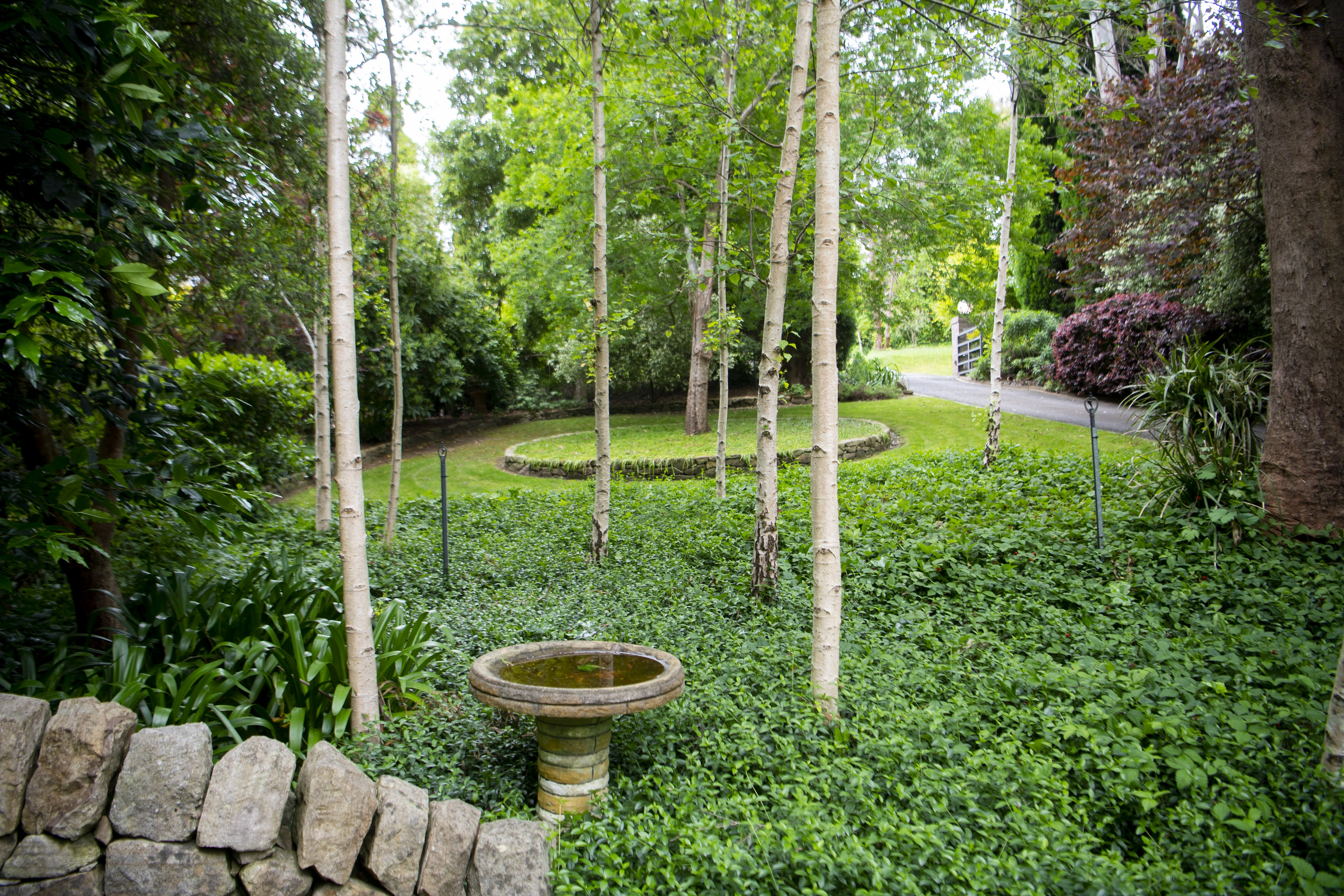 15 Merilbah Road, Bowral, NSW, 2576, Bowral - Thumbnail 4