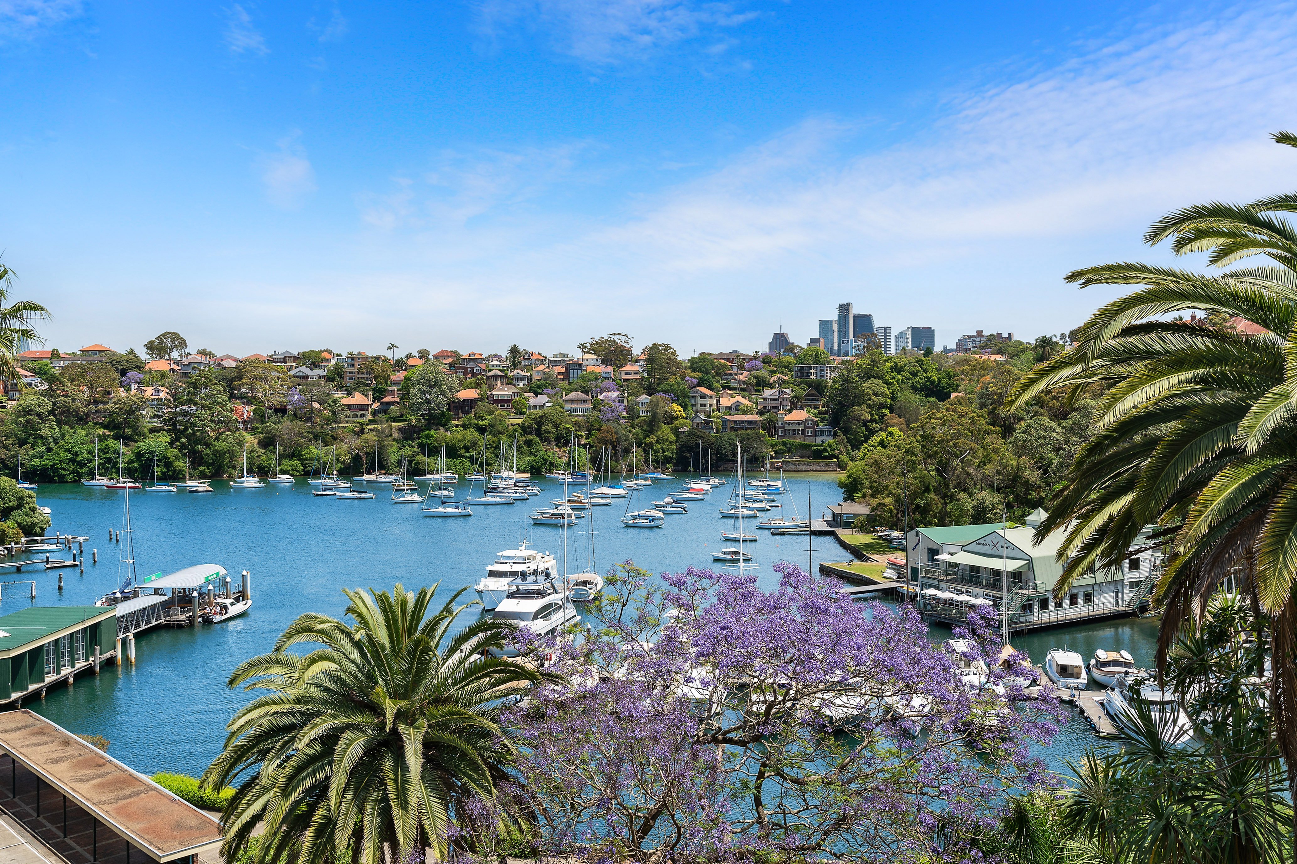 1/2 Mosman Street, Mosman, NSW, 2088, Mosman - Thumbnail 2