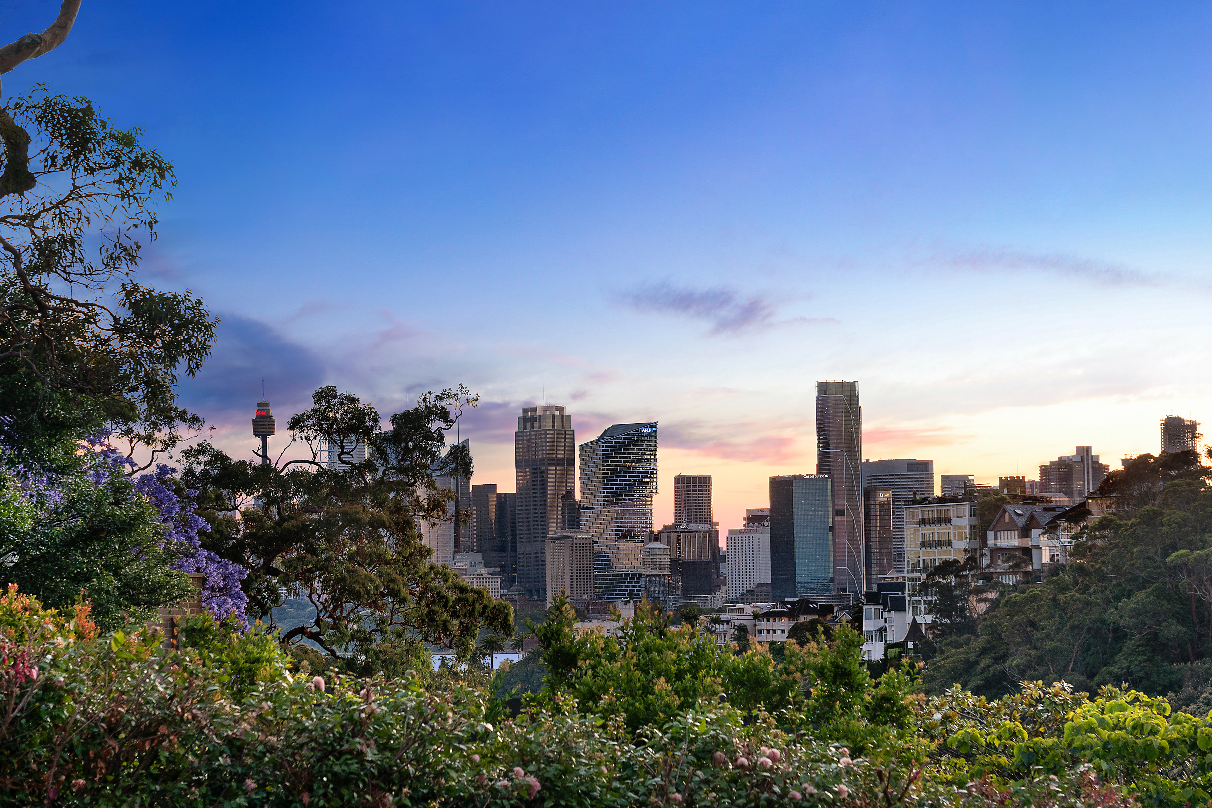 26 Rickard Avenue, Mosman, NSW, 2088, Mosman - Thumbnail 2
