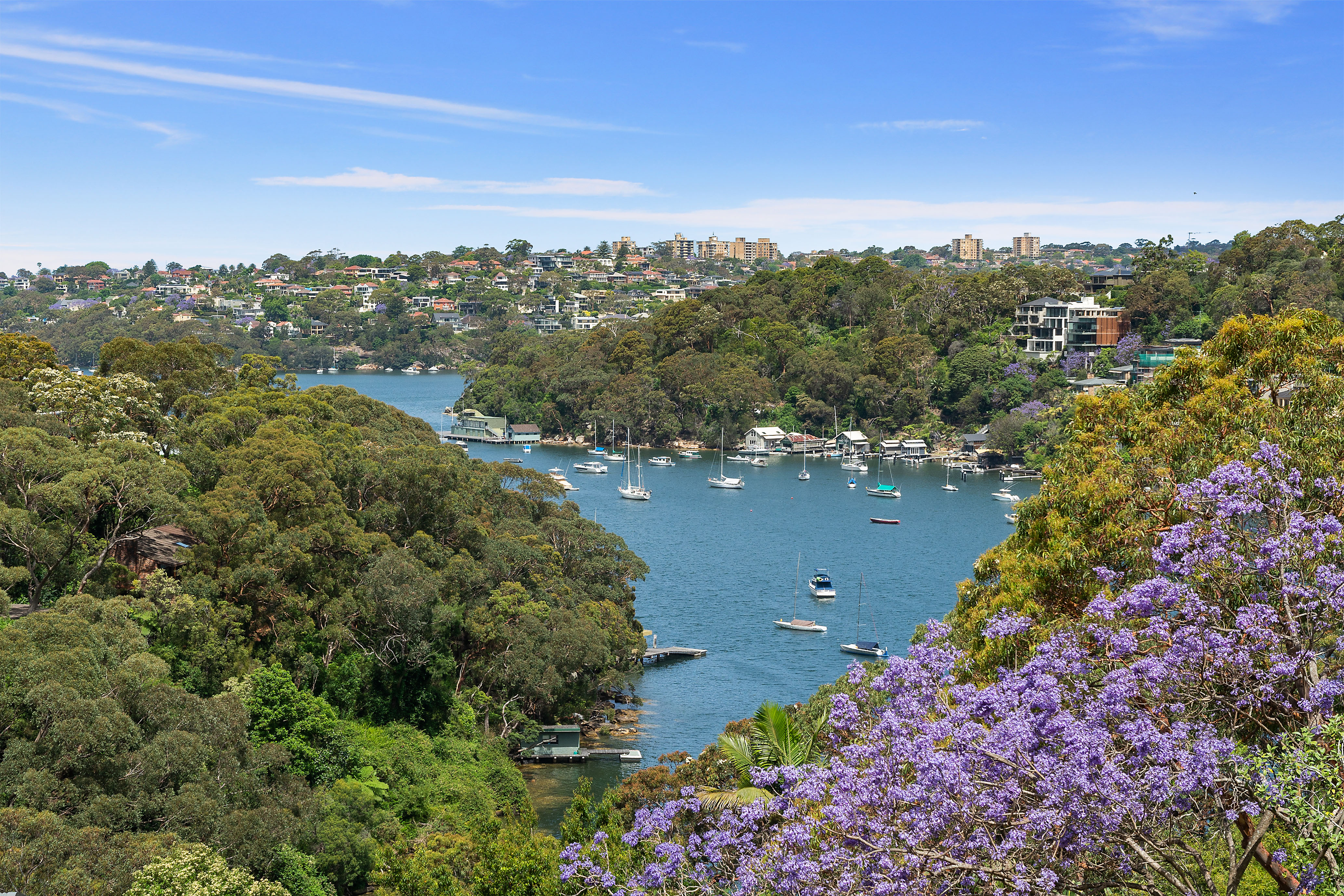 10 The Scarp, Castlecrag, NSW, 2068, Castlecrag - Thumbnail 6
