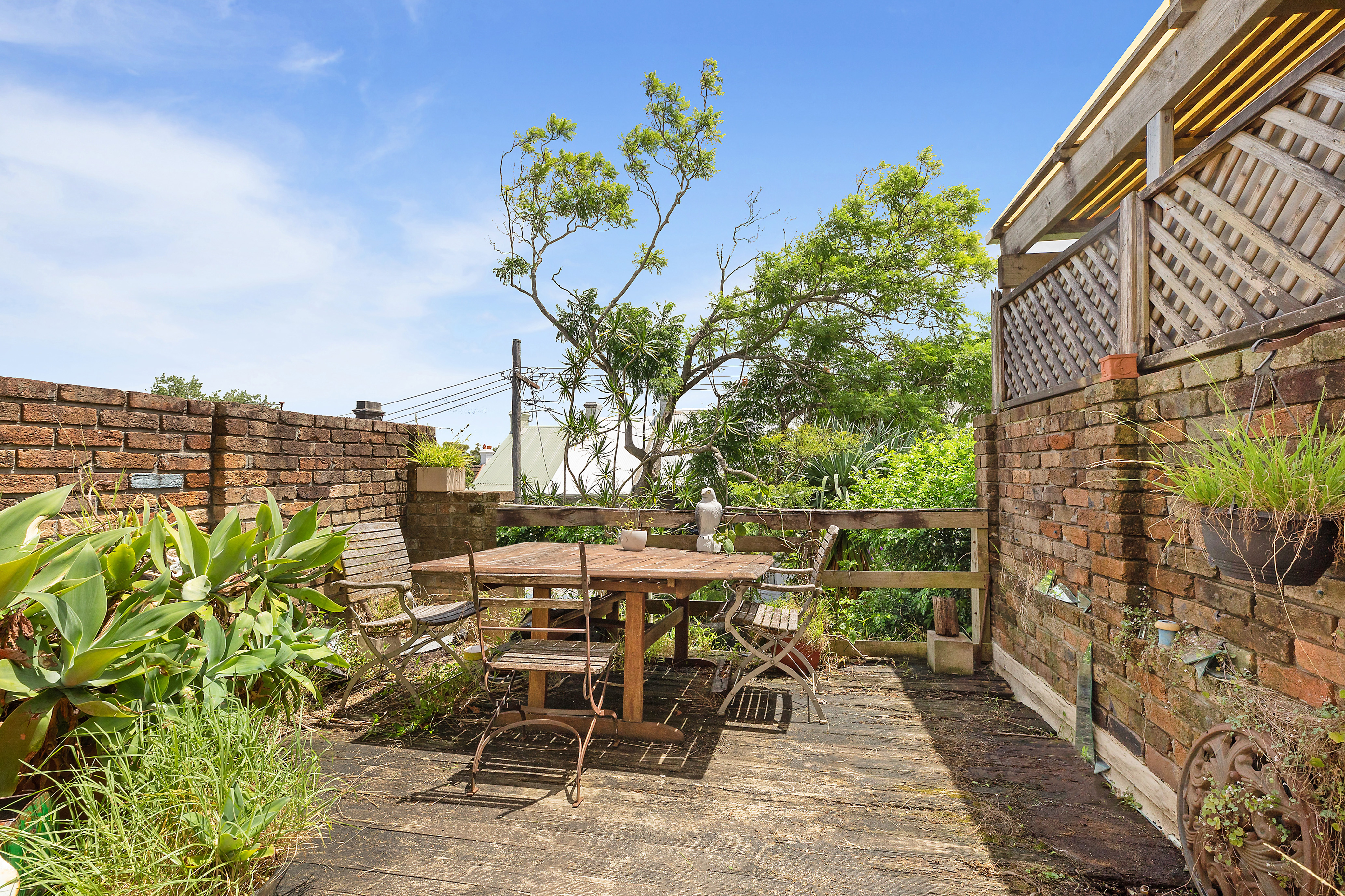 33 Regent Street, Paddington, NSW, 2021, Paddington - Thumbnail 4
