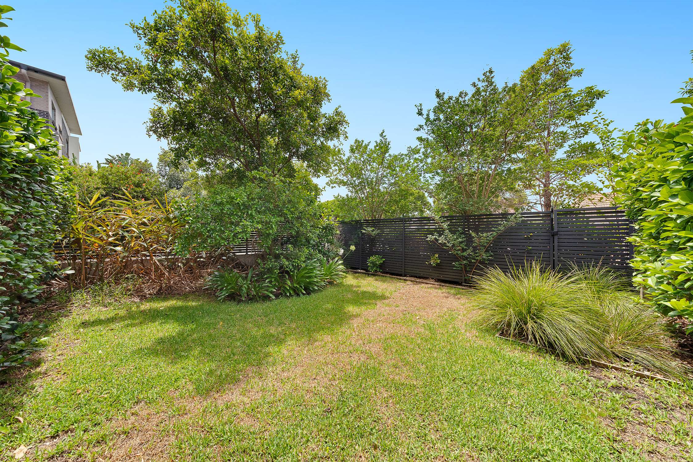6/18 Terrace Road, Dulwich Hill, NSW, 2203, Dulwich Hill - Thumbnail 3