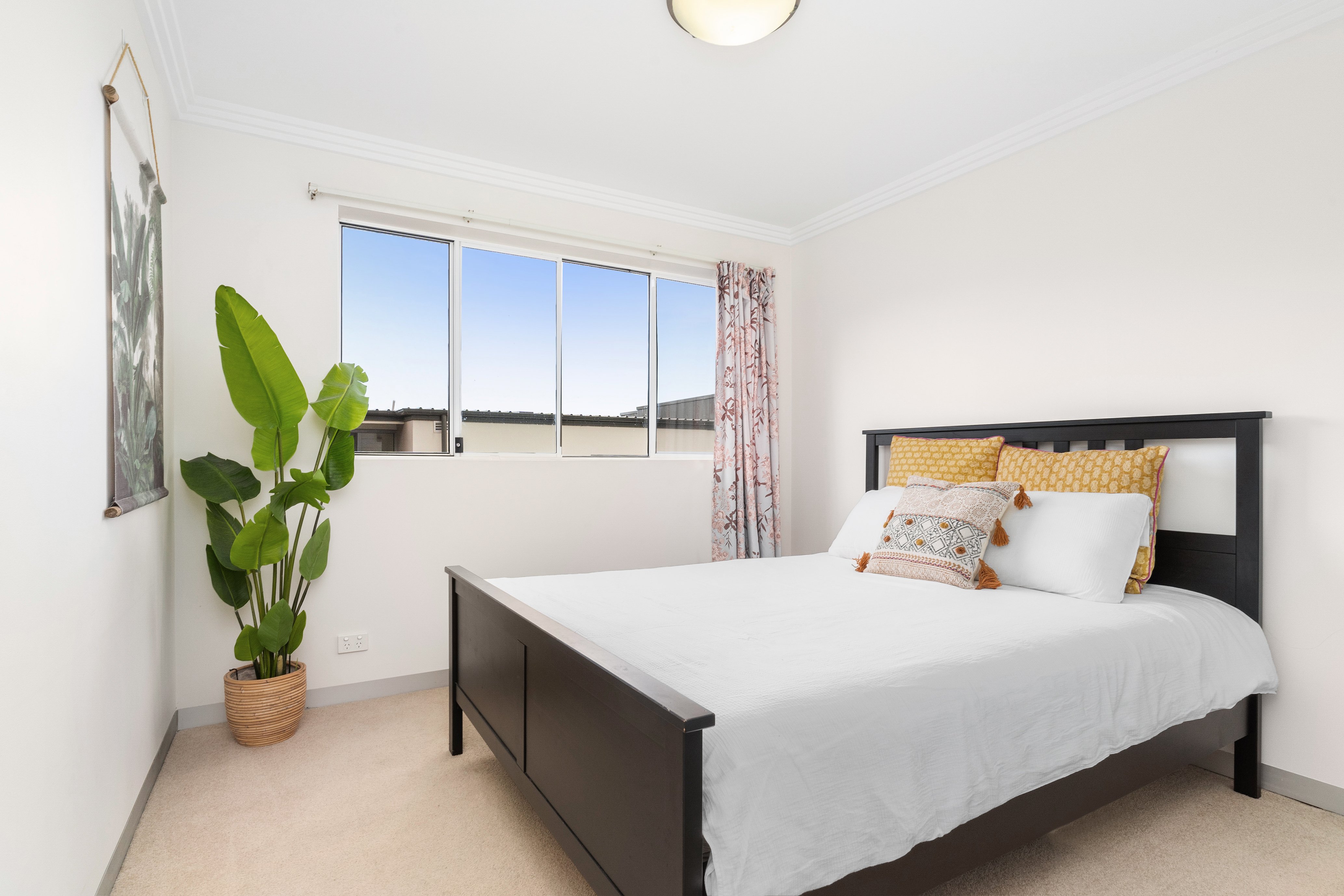 17/22-24 Shackel Avenue, Brookvale, NSW, 2100, Brookvale - Thumbnail 2