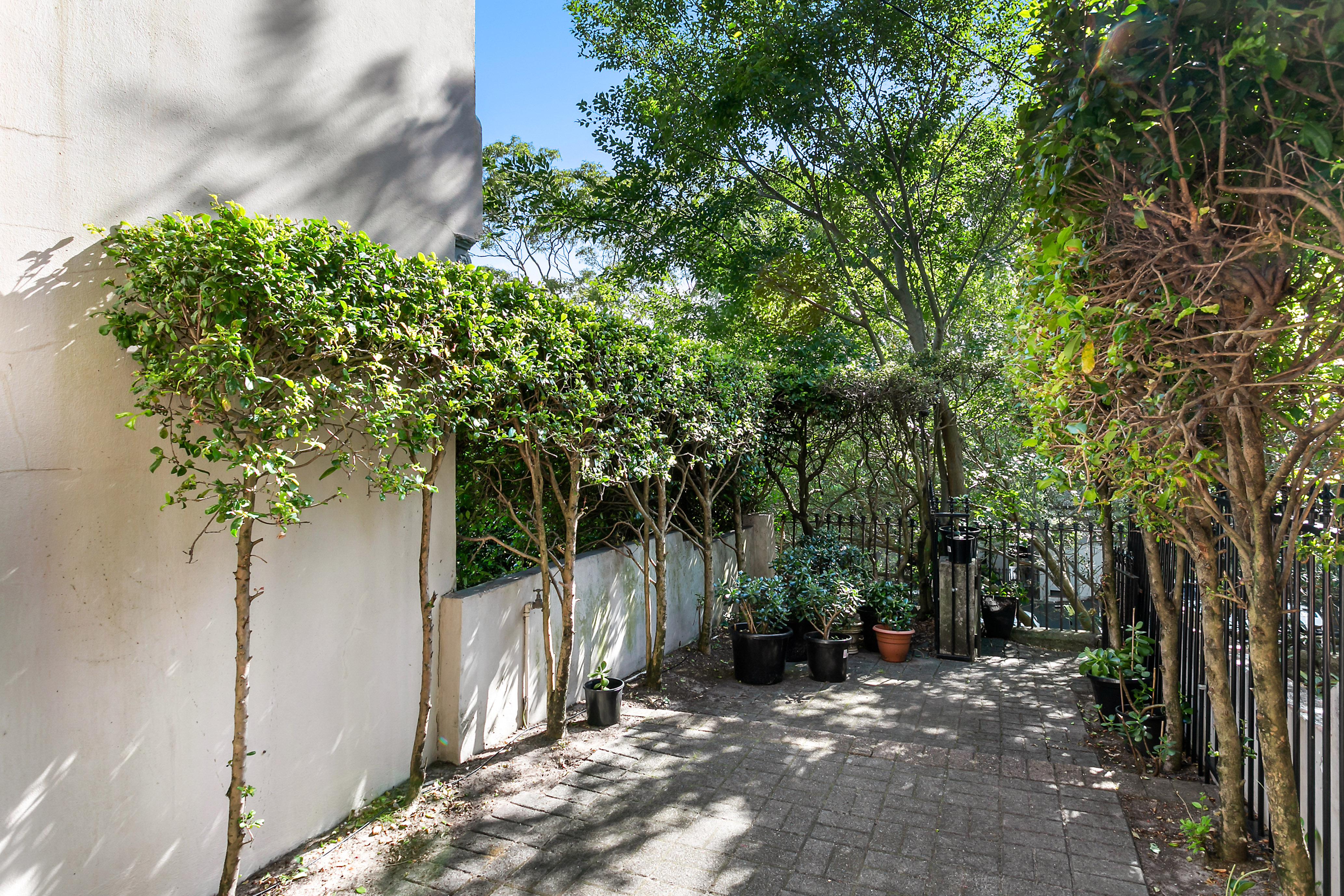 161 Sutherland Street, Paddington, NSW, 2021, Paddington - Thumbnail 7