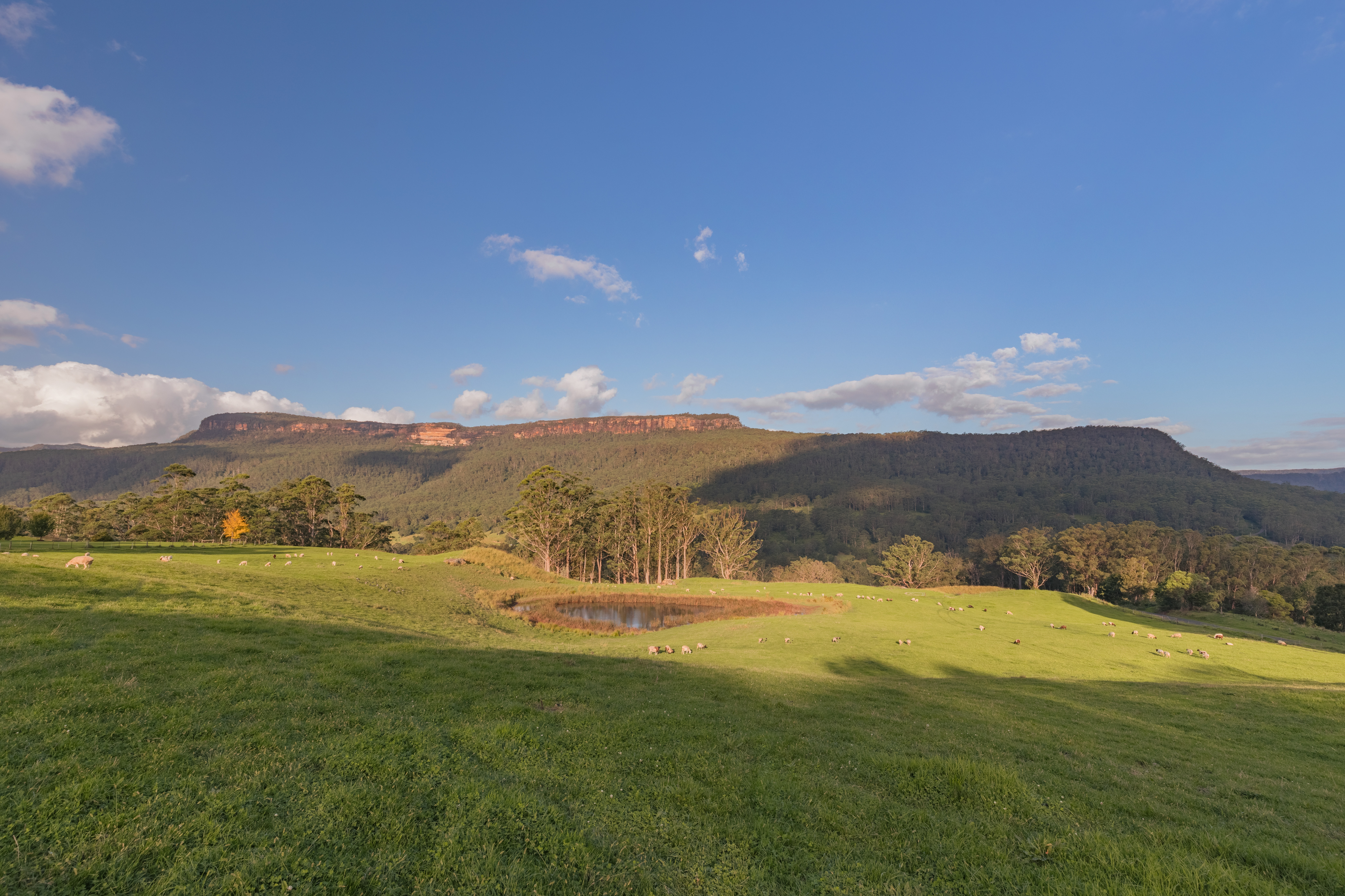 Lot 201, Part 611 Upper Kangaroo River Road, Upper Kangaroo River, NSW, 2577, Upper Kangaroo River - Thumbnail 2
