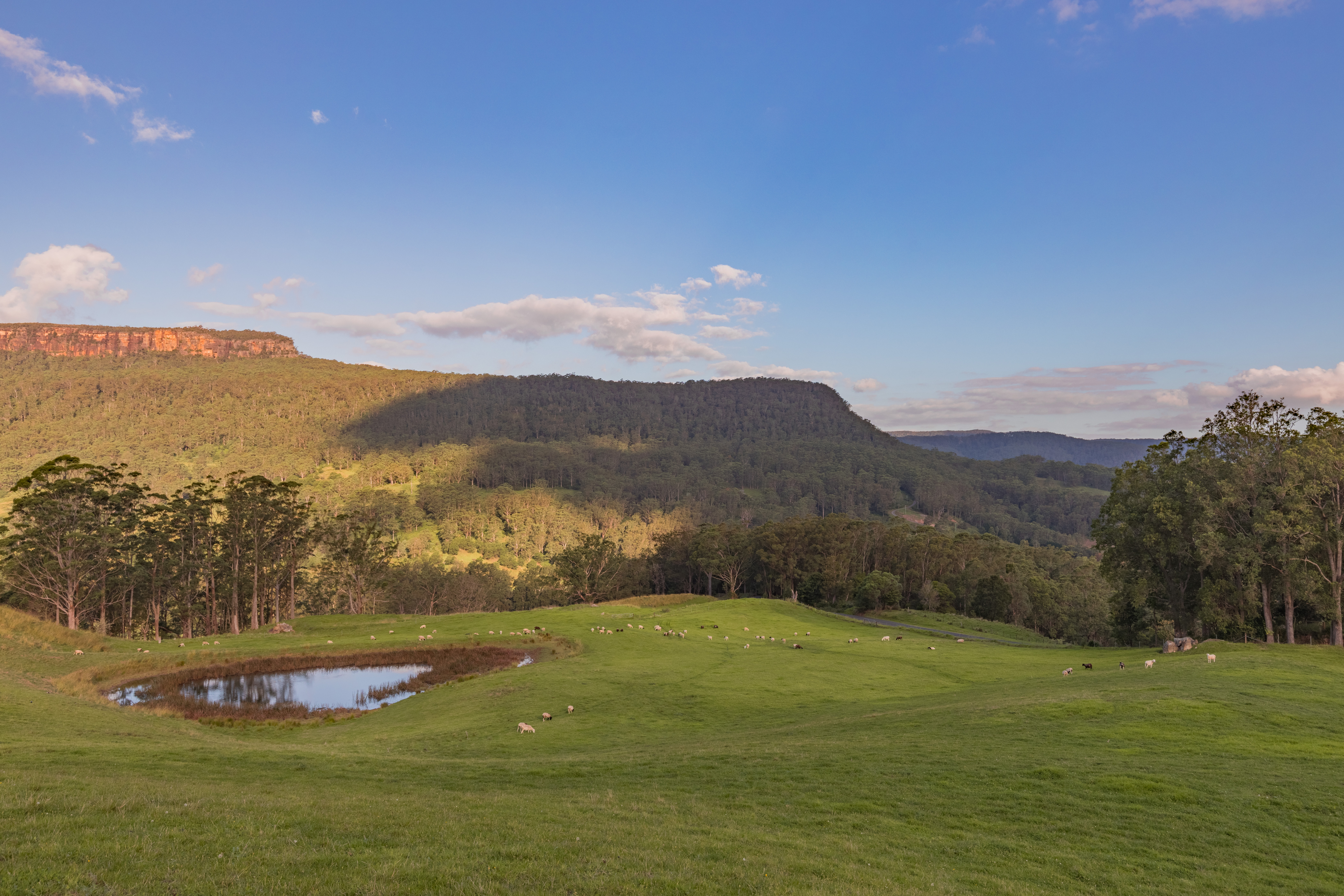 Lot 201, Part 611 Upper Kangaroo River Road, Upper Kangaroo River, NSW, 2577, Upper Kangaroo River - Thumbnail 3