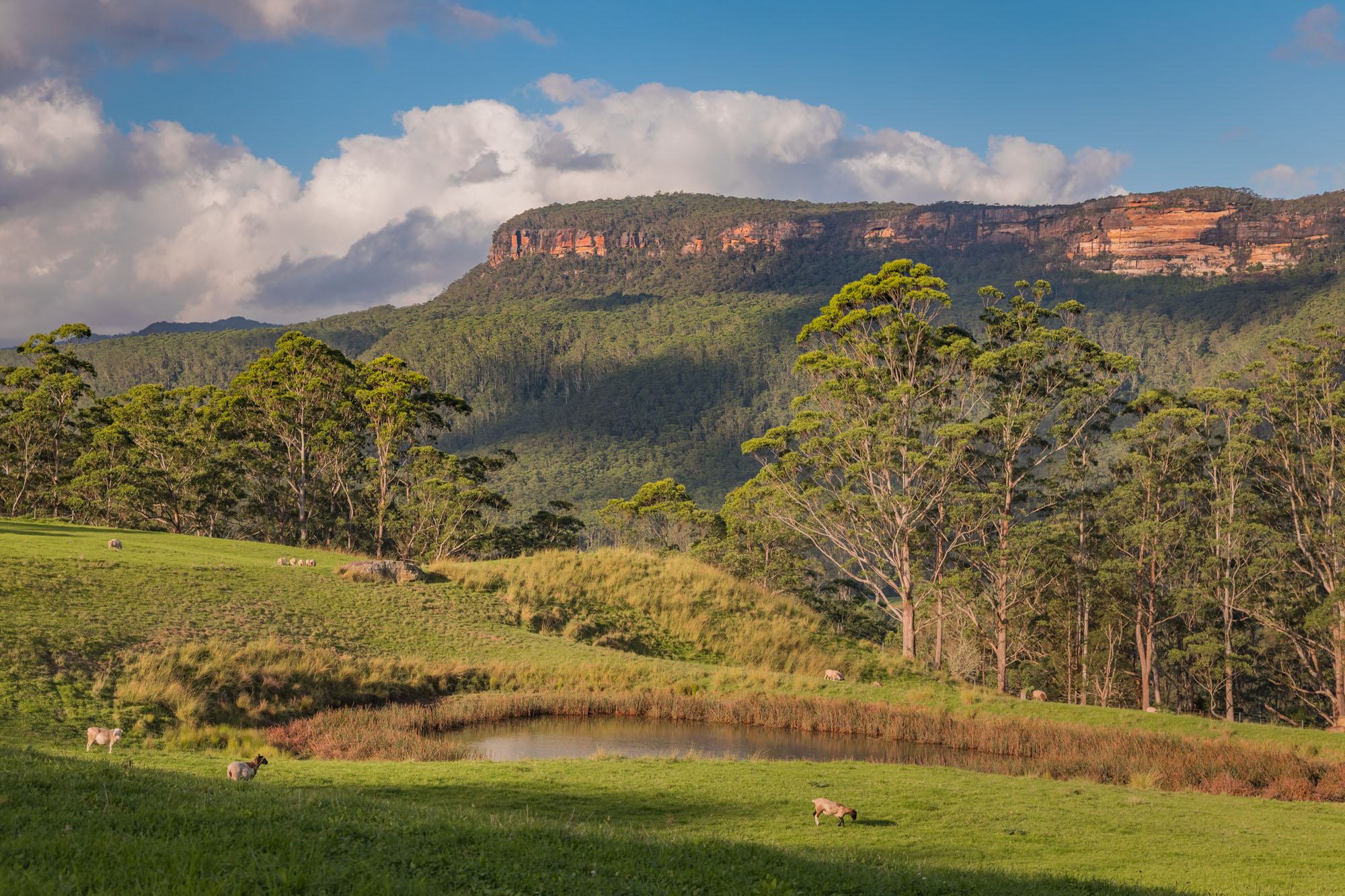 Lot 201, Part 611 Upper Kangaroo River Road, Upper Kangaroo River, NSW, 2577, Upper Kangaroo River - Image 1