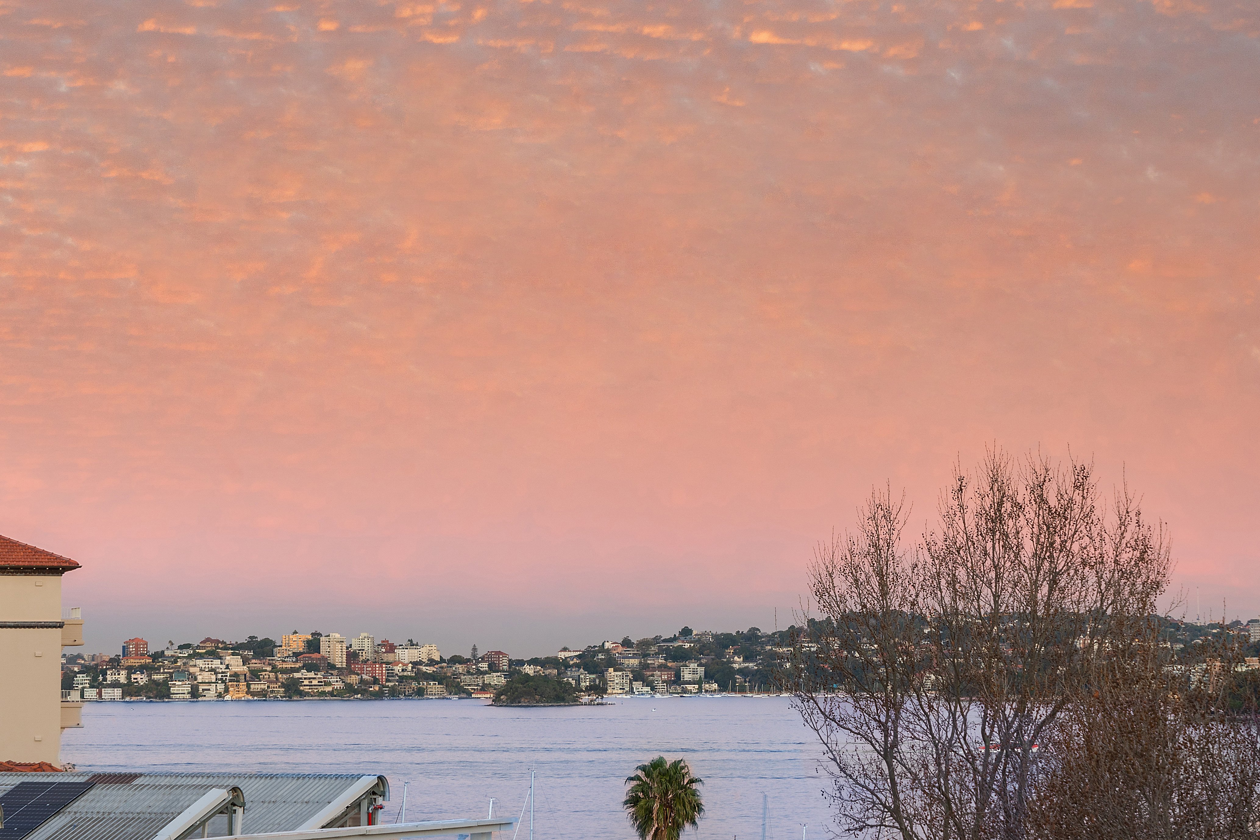 3/1 Kiara Close, North Sydney, NSW, 2060, North Sydney - Thumbnail 3