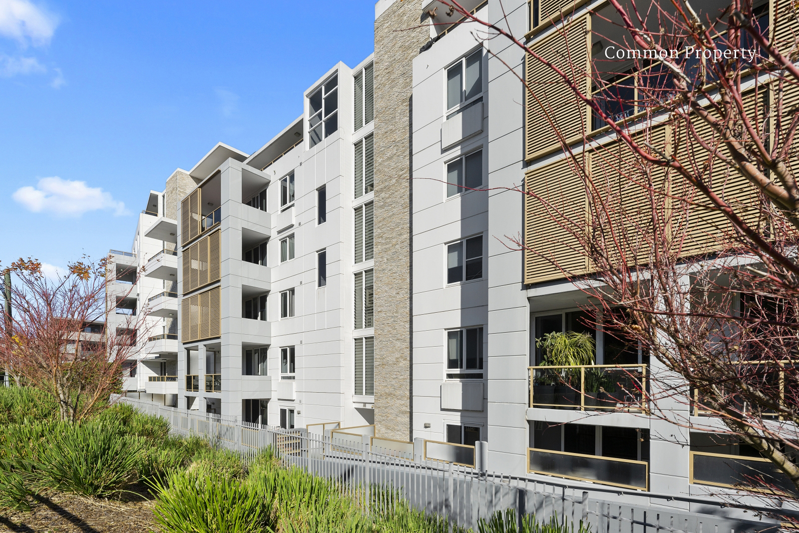 927/4 Avon Road, Pymble, NSW, 2073, Pymble - Thumbnail 6