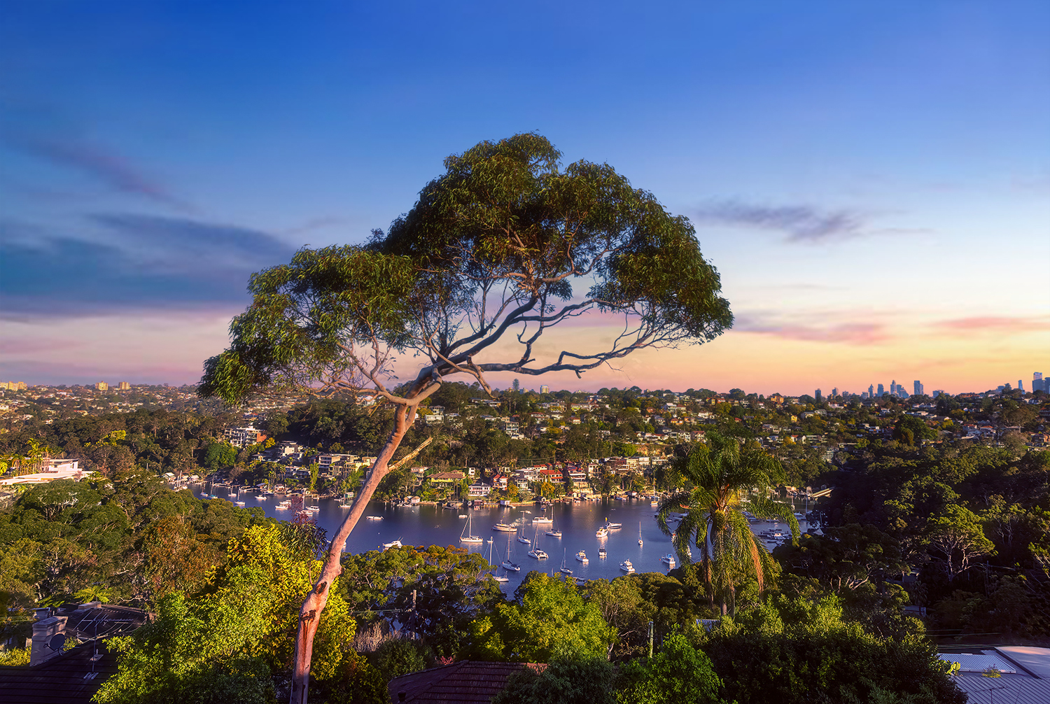 220 Edinburgh Road, Castlecrag, NSW, 2068