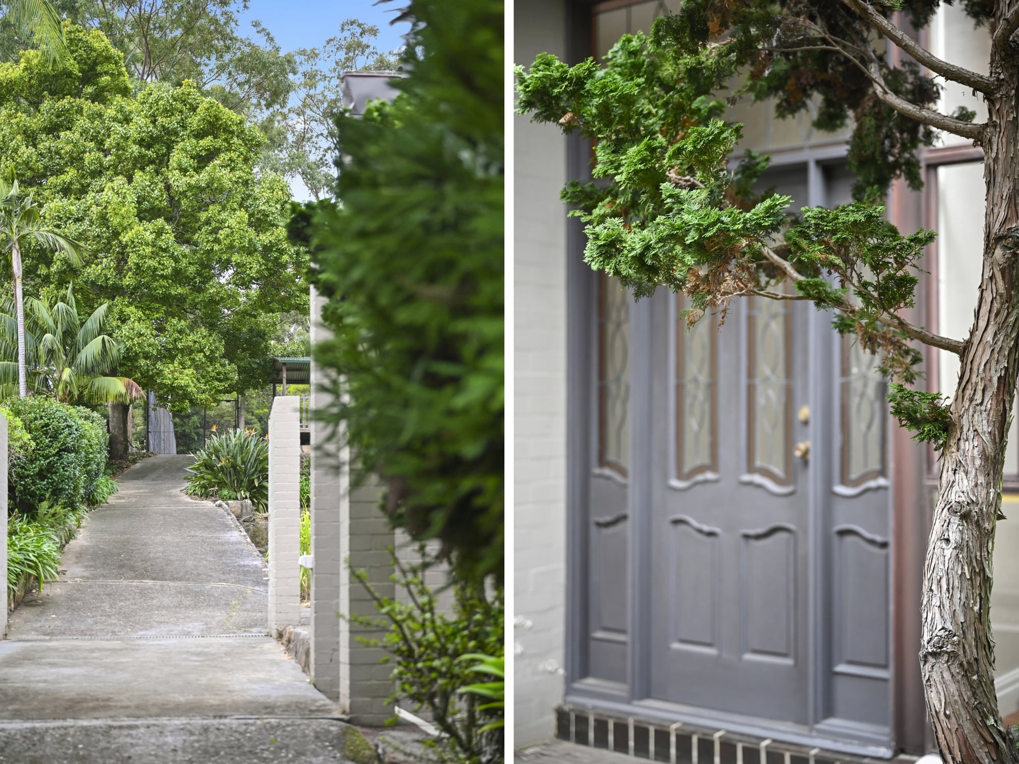 5 Norfolk Street, Killara, NSW, 2071, Killara - Thumbnail 5