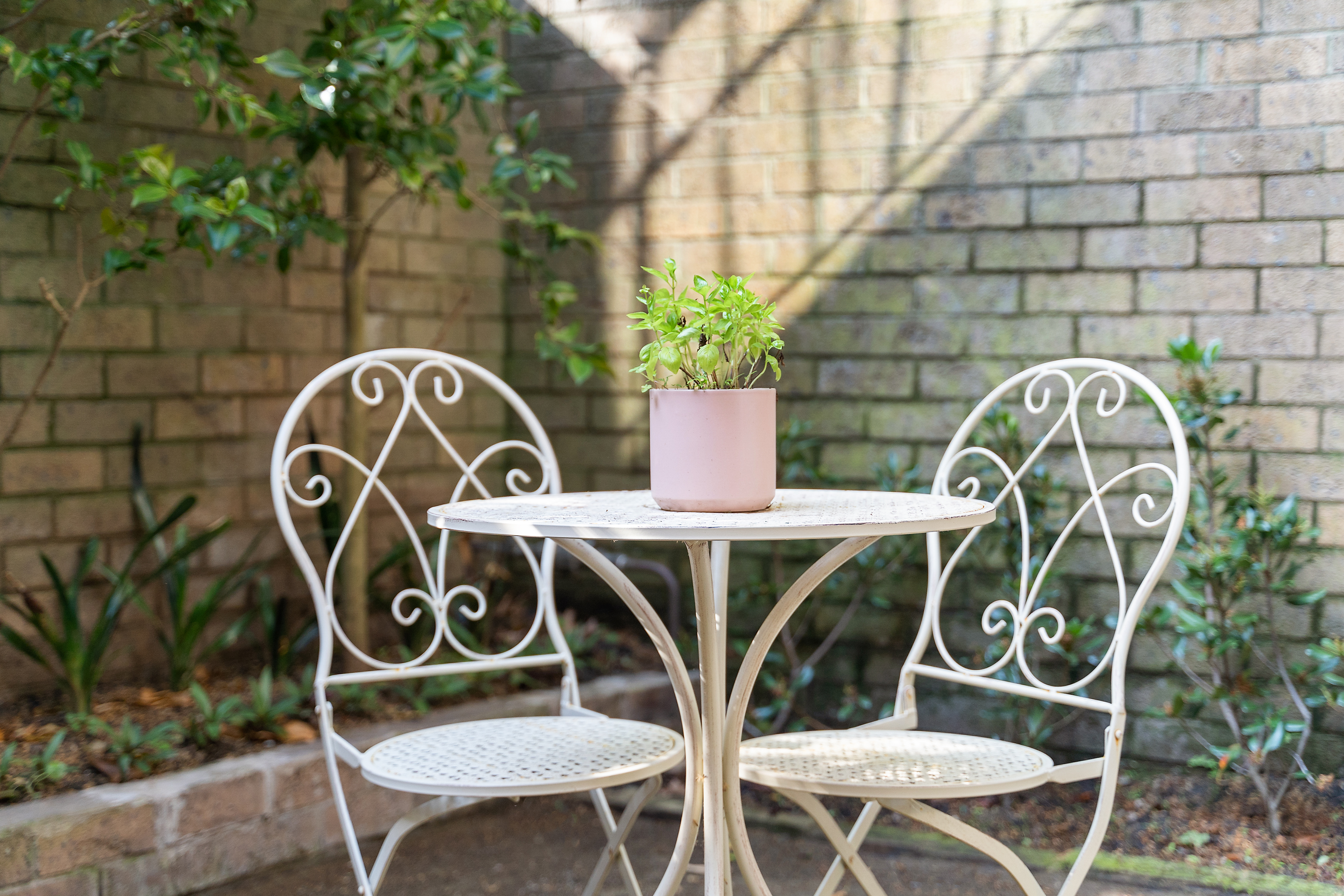 1a Cecil Street, Paddington, NSW, 2021, Paddington - Thumbnail 6