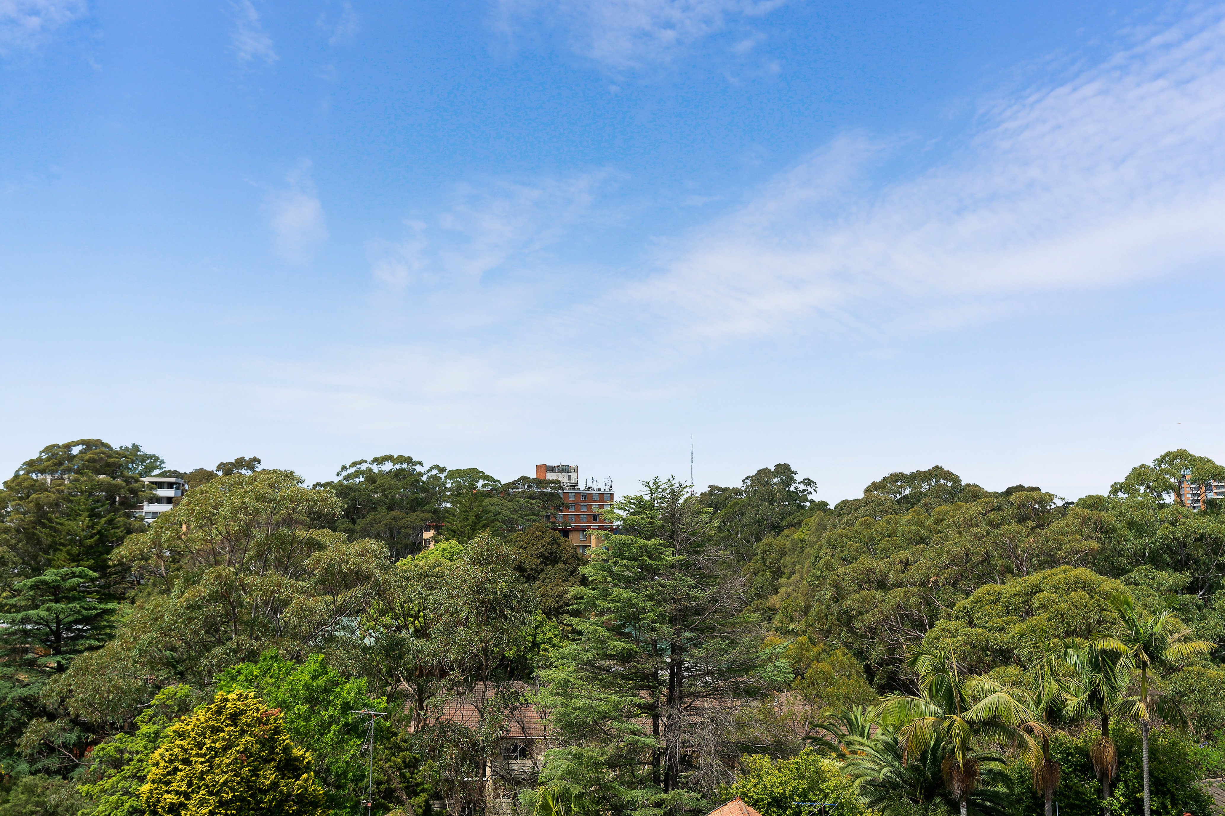 9/394 Mowbray Road West, Lane Cove North, NSW, 2066, Lane Cove North - Thumbnail 2