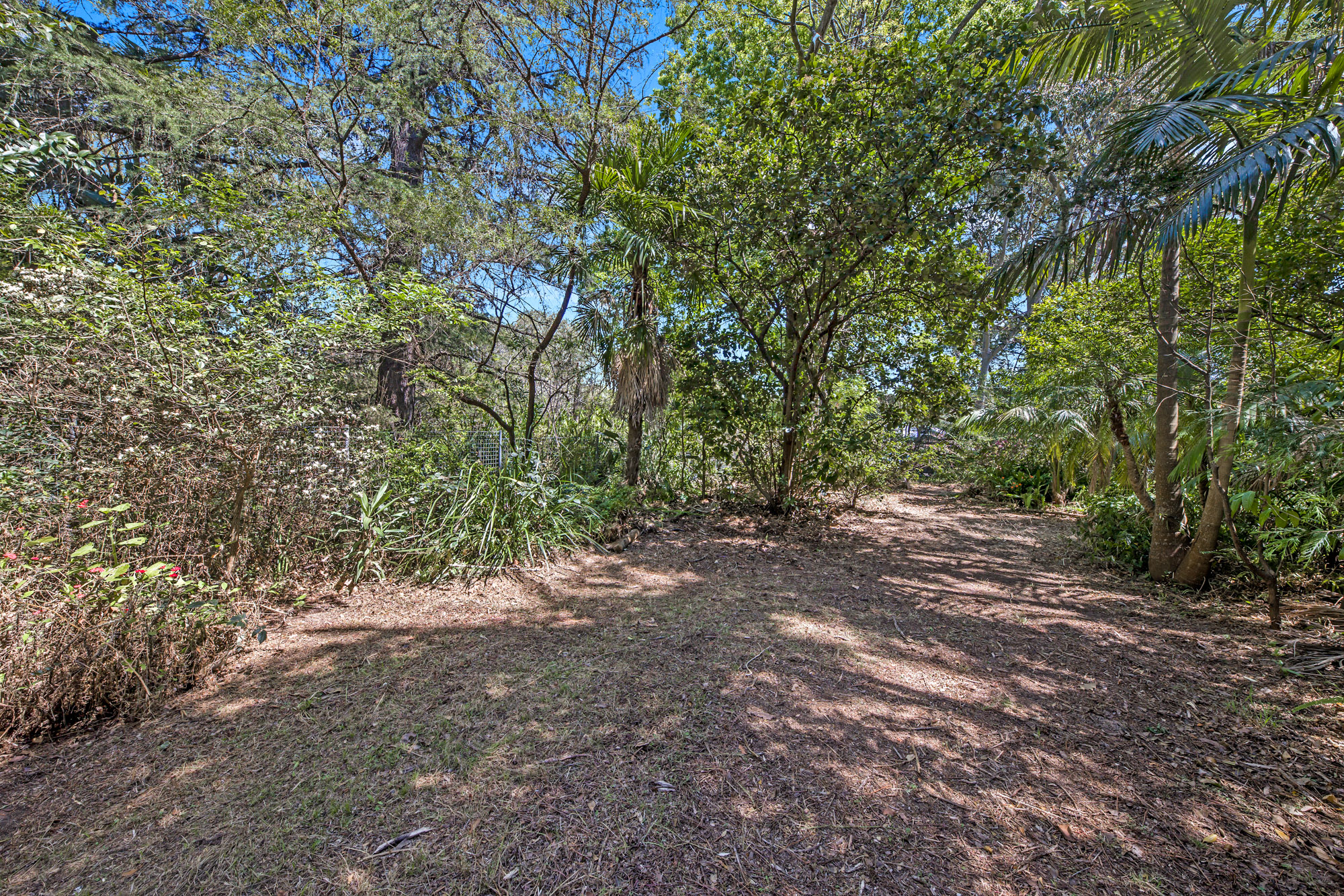 74 Ridge Street, Gordon, NSW, 2072, Gordon - Thumbnail 7