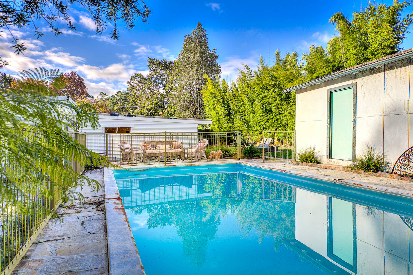 5 Banks Avenue, Turramurra, NSW, 2074, North Turramurra - Thumbnail 7